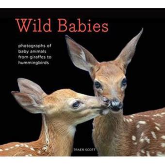 Wild babies - 1