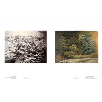 Feuillages. L'Art et les puissances du végétal