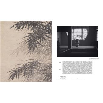 Feuillages. L'Art et les puissances du végétal