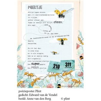 Moses Flowers & Friends Briefpapier-Set | Briefbögen, Briefumschläge und bunte Sticker in einer praktischen Aufbewahrungsmappe | Utensilien für Brief-Freundinnen