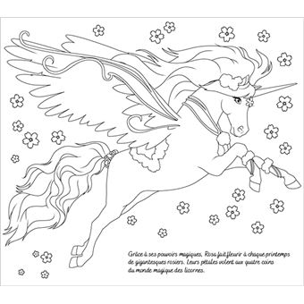 Licornes de rêve - Cartes à pailleter Magie des fleurs