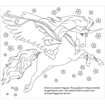 Licornes de rêve - Cartes à pailleter Magie des fleurs