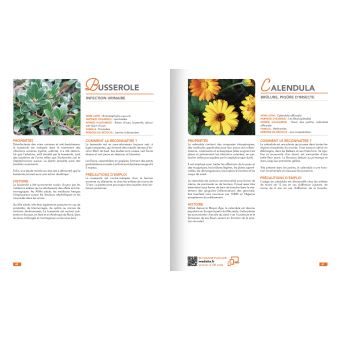 Le dictionnaire des remèdes naturels