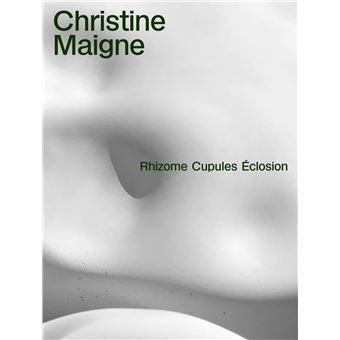 Rhizome Cupules Éclosion
