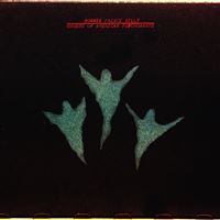 Ghosts Of American Psychonauts