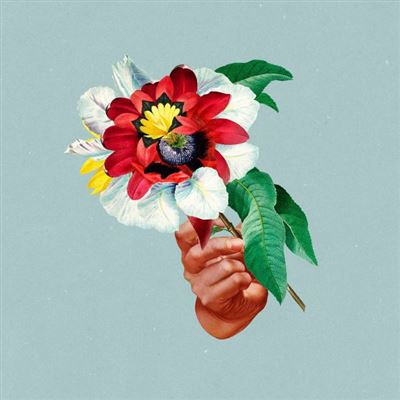 KINGDOMS IN COLOUR/LP