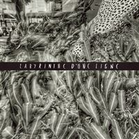 Labyrinthe d'une ligne