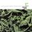 Byrd in Flight - Vinilo