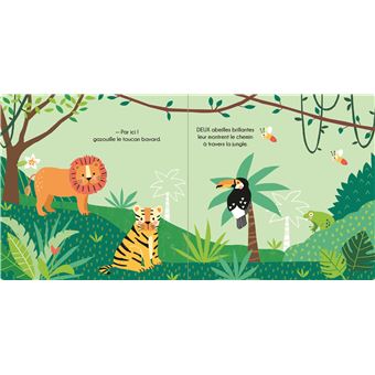 Le Livre-Lumière de Petit Tigre