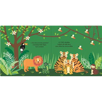 Le Livre-Lumière de Petit Tigre