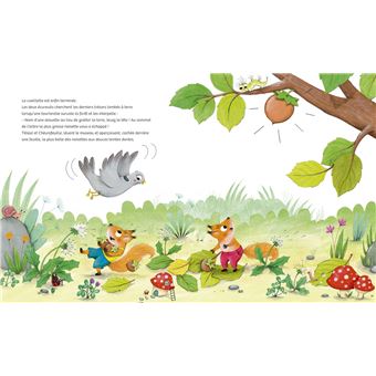 Noisette, rien ne t'arrête !