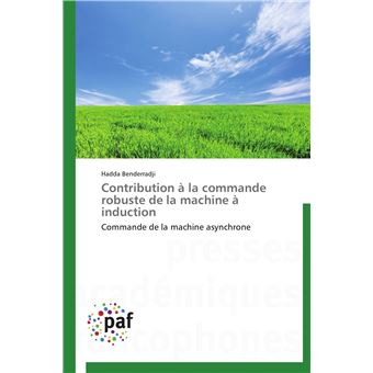 Contribution à la commande robuste de la machine à induction - 1