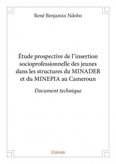 Etude prospective de l'insertion socioprofessionnelle des je