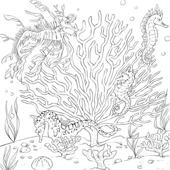 Les carrés d'Art-thérapie Nature