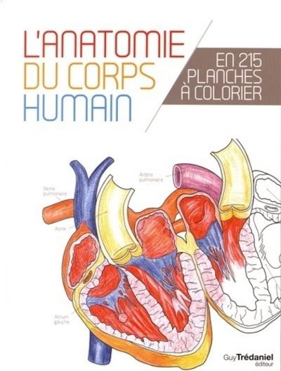 L'anatomie du corps humain en 25 planches à colorier -  Collectif - broché