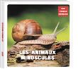 Mon premier animalier - les animaux minuscules