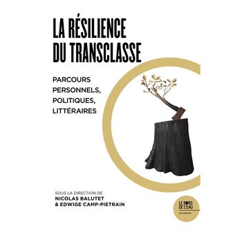 La résilience du transclasse
