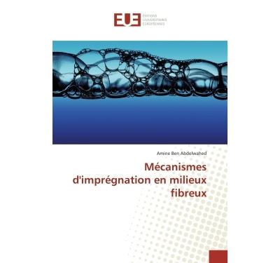 Mécanismes D'imprégnation En Milieux Fibreux - Broché - Amine Ben ...