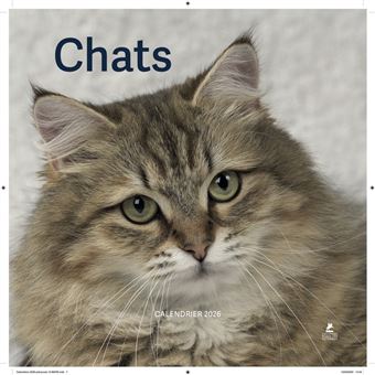 Calendrier Chats 2026