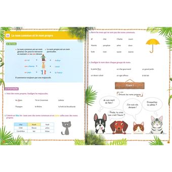 Mon cahier de CP - UNE SAISON AU ZOO