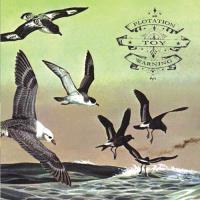 Bluffer’s guide to the flight deck