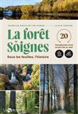 La forêt de Soignes