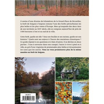 La forêt de Soignes