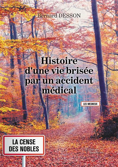 Histoire d'une vie brisée par un accident médical - Bernard Desson - broché