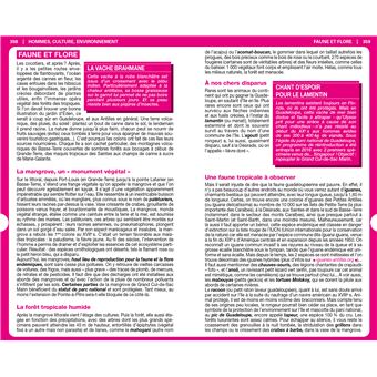 Guide du Routard Guadeloupe Saint-Martin, Saint-Barth 2021/22