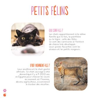 Les chats