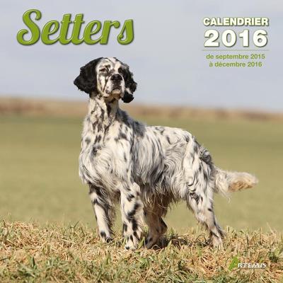Calendrier 2016 Setters