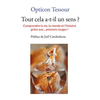 Tout cela a-t-il un sens ?