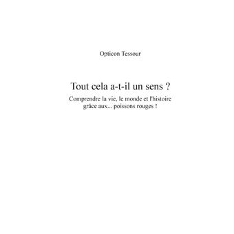 Tout cela a-t-il un sens ?