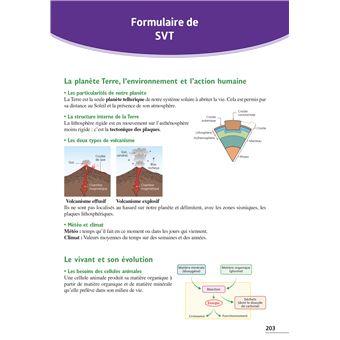 Annales Brevet 2022 Sciences