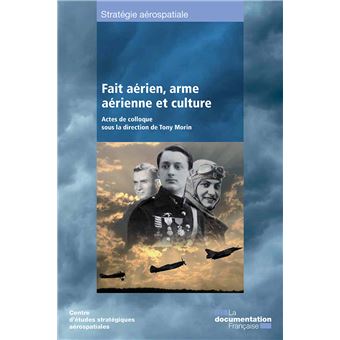Fait aérien, arme aérienne et culture