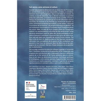 Fait aérien, arme aérienne et culture