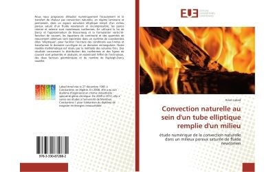 Convection naturelle au sein d'un tube elliptique remplie d'un milieu