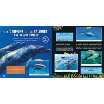 Une saison au zoo, Le grand livre des créatures des océans