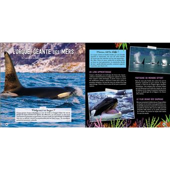 Une saison au zoo, Le grand livre des créatures des océans