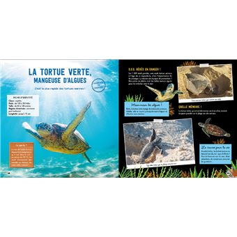 Une saison au zoo, Le grand livre des créatures des océans