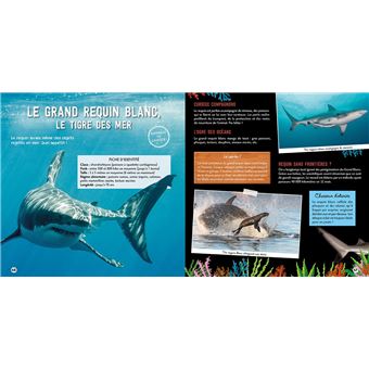 Une saison au zoo, Le grand livre des créatures des océans