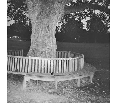 A new place 2 drown