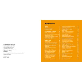 Vapeur douce - Recettes végétales et gourmandes au vitaliseur