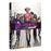 Birds of Prey et La Fantabuleuse Histoire de Harley Quinn DVD