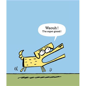 Cheval rencontre Chien