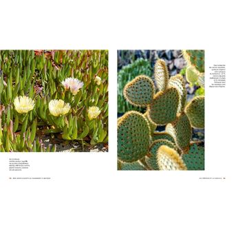 Mon jardin s'adapte au changement climatique