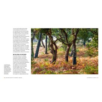 Mon jardin s'adapte au changement climatique