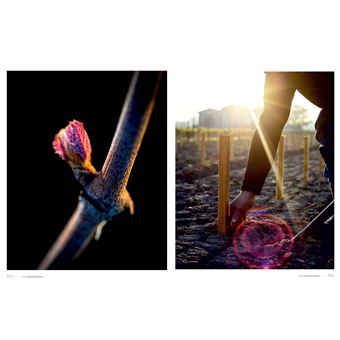 D'une rive à l'autre