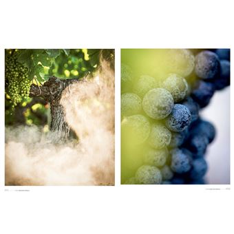 D'une rive à l'autre