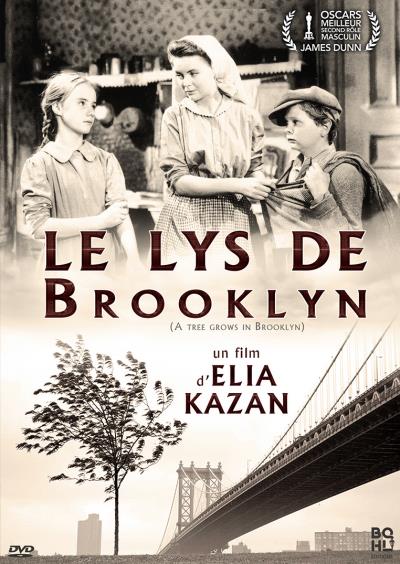 Lys de brooklyn